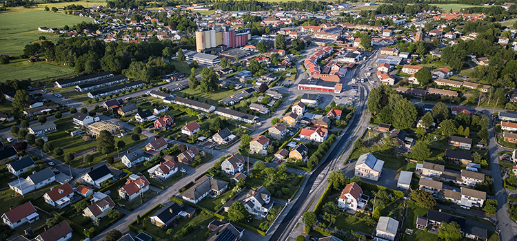 Älgar i ett sädesfält