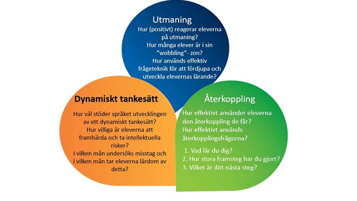 Esslyftets inriktningar Utmaning, Återkoppling och Dynamiskt tankesätt 