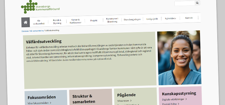 Uppdateringar på webben