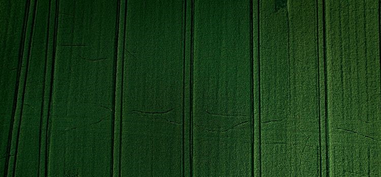 Ny aktivitetsplan för 2026 stärker Skaraborgs omställningsarbete